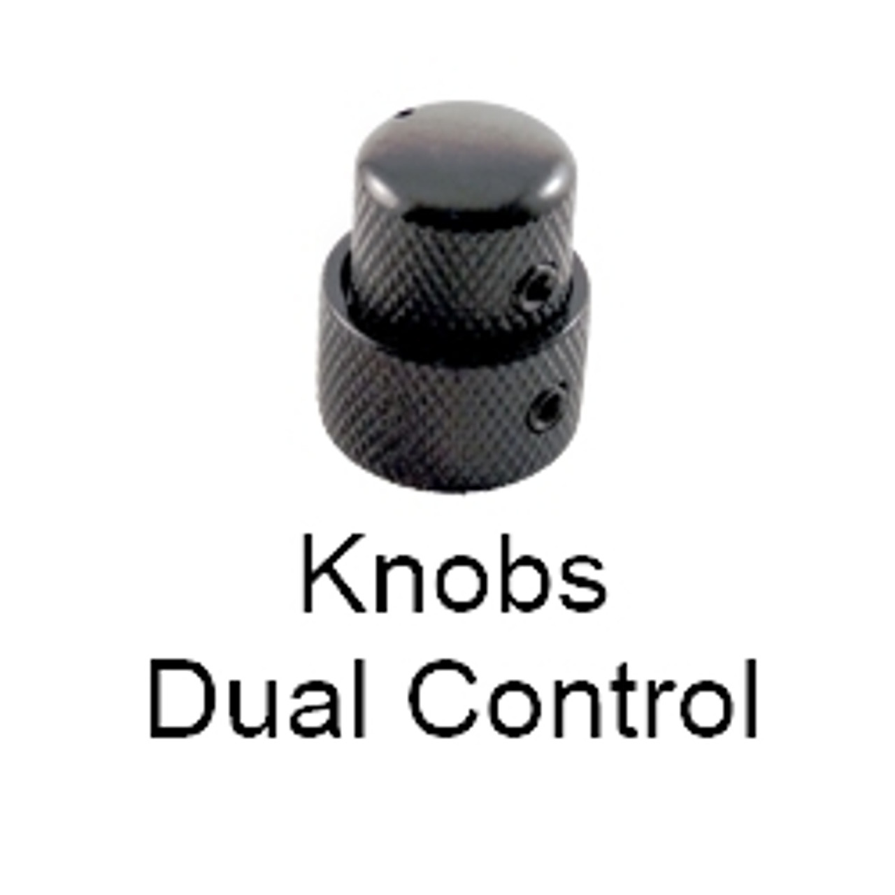 Dual Control