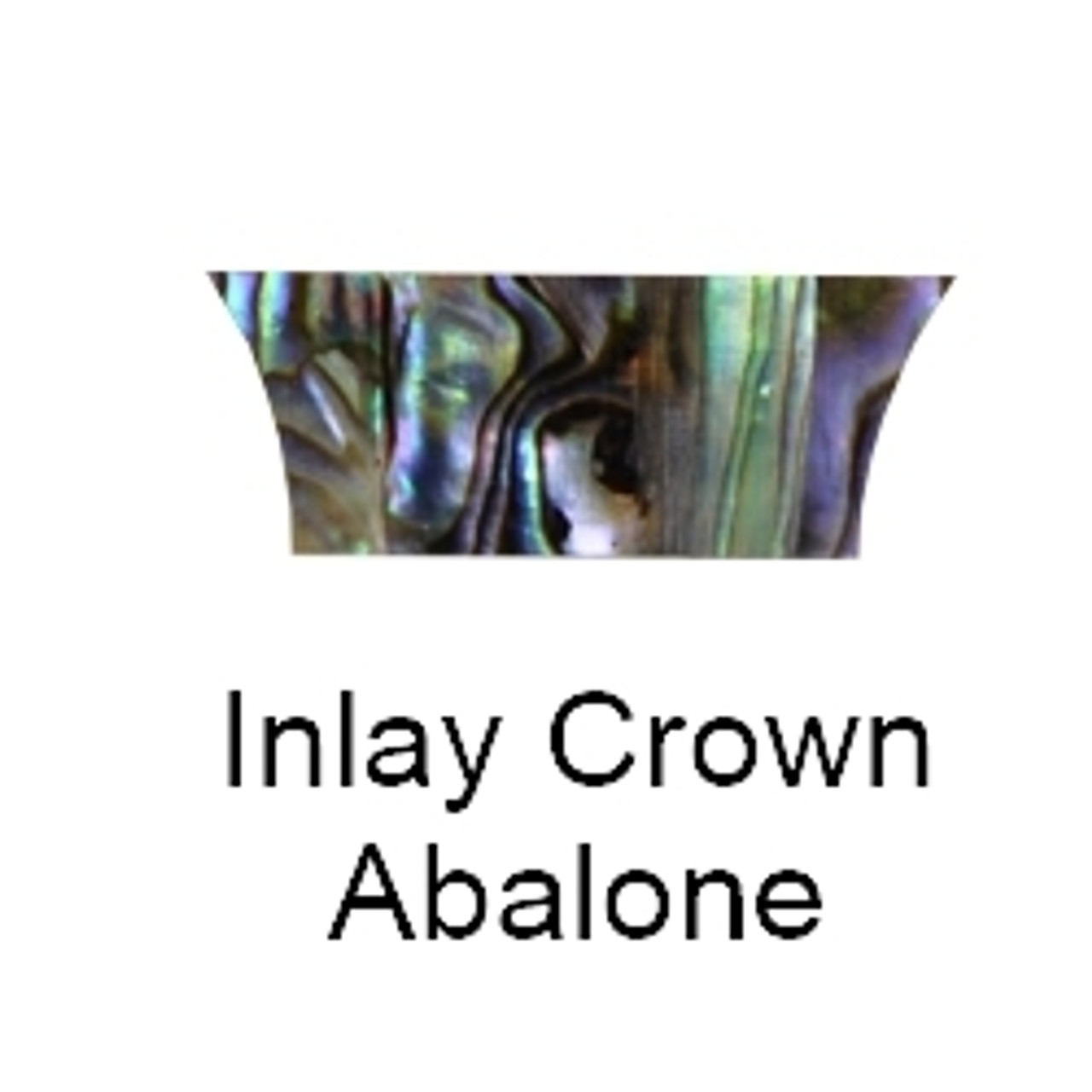 Crown Abalone