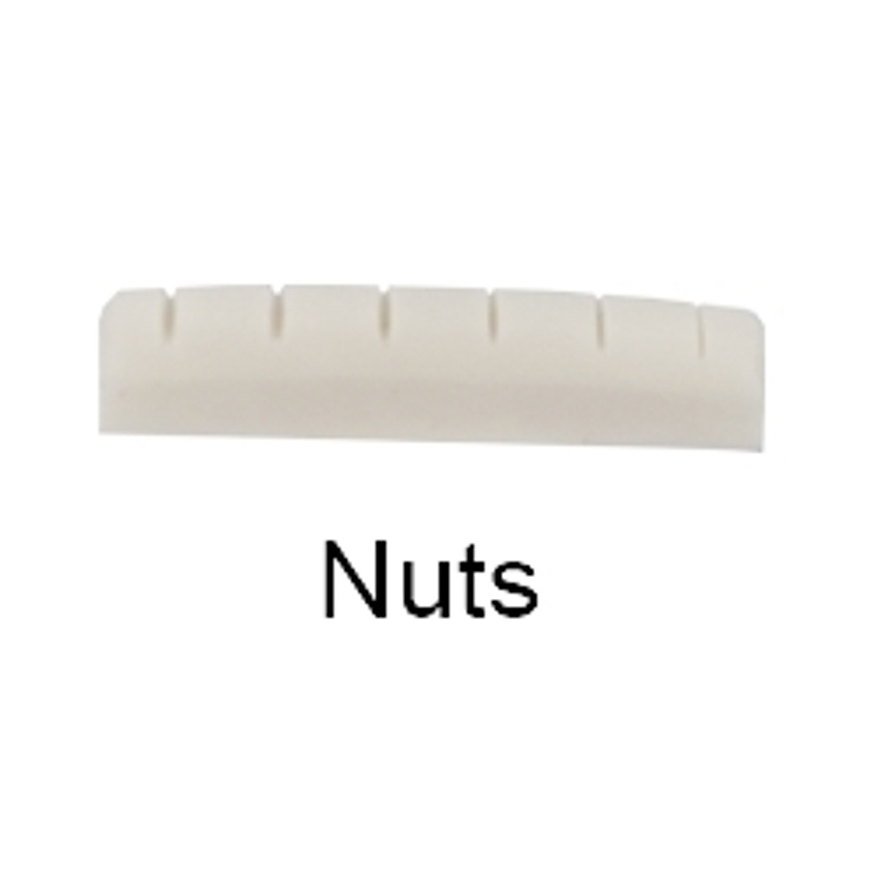 Nut and Saddles