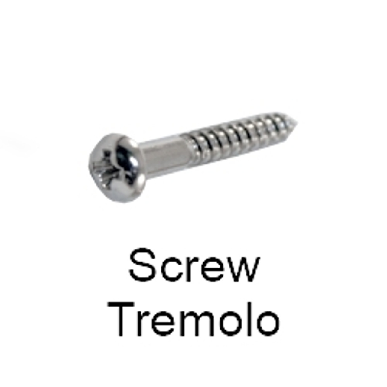 Tremolo Bridge Screws