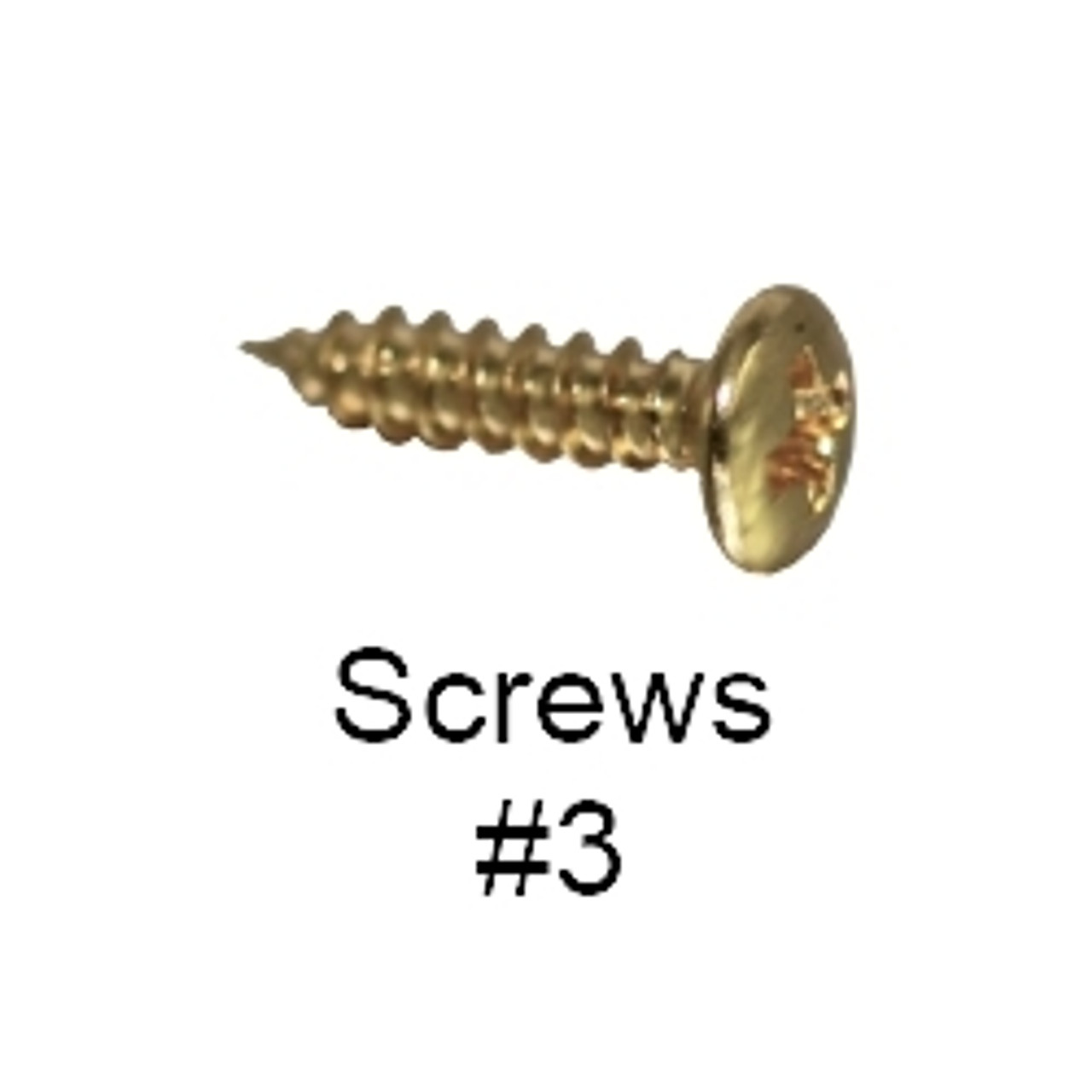 #3 Screws