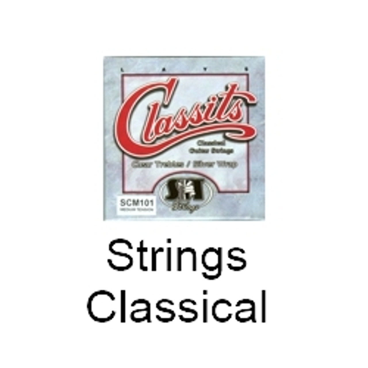 Classical Strings