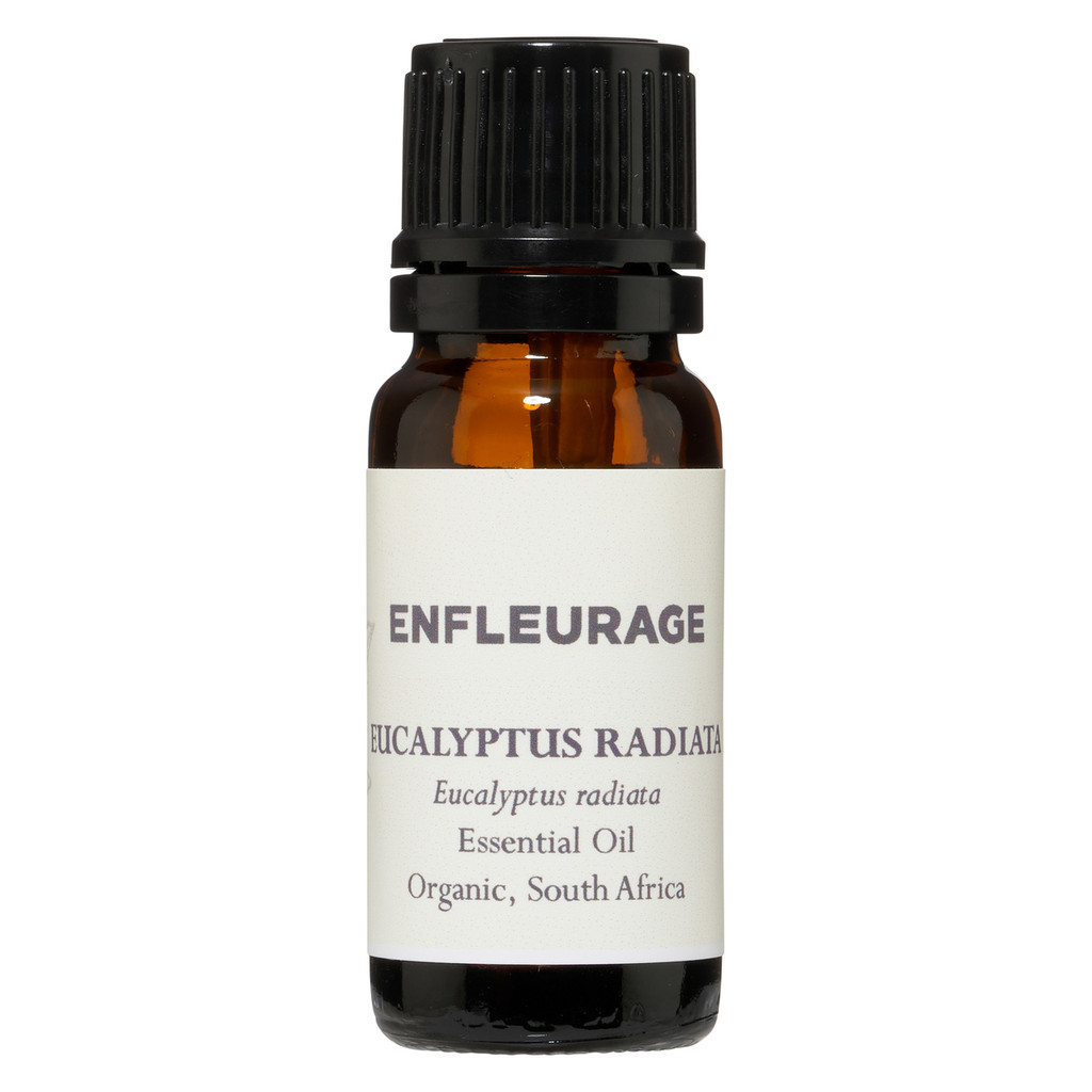 Enfleurage Eucalyptus Radiata essential oil from South Africa