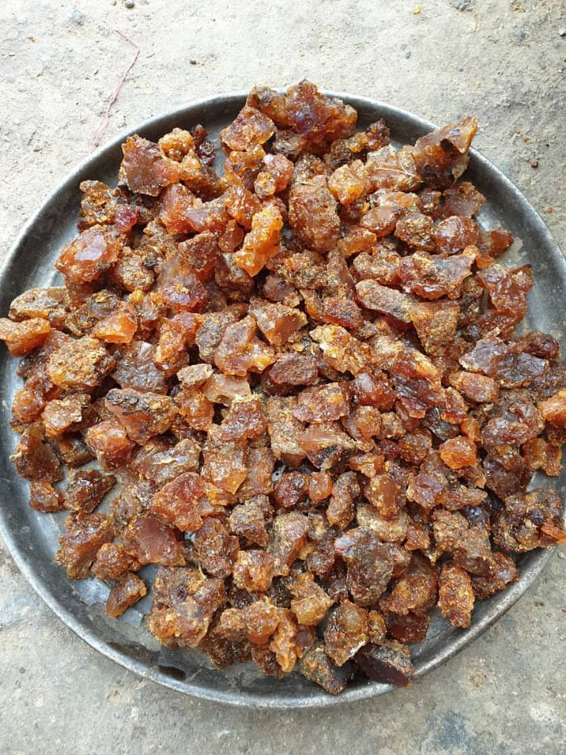 Frankincense & Myrrh Codistillation Essential Oil