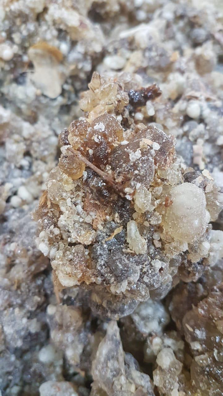 Frankincense & Myrrh Codistillation Essential Oil