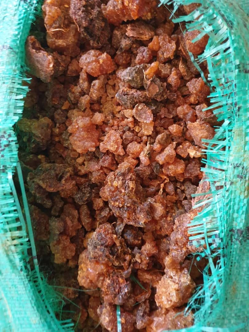 Frankincense & Myrrh Codistillation Essential Oil