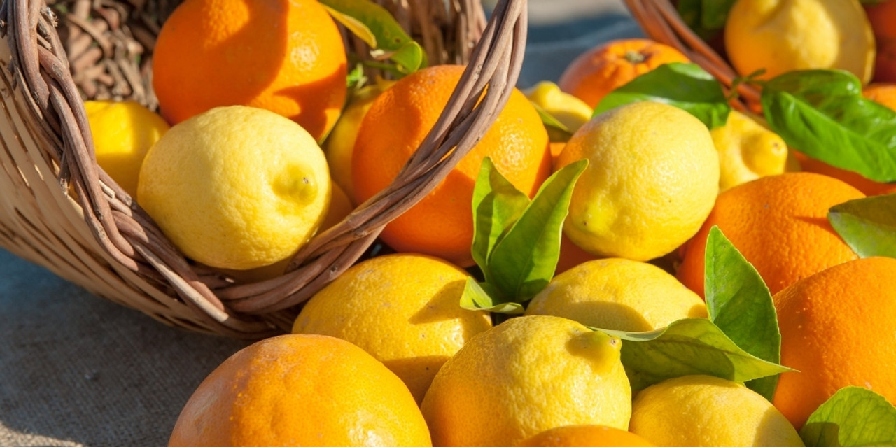 Citrus Oils