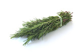 Rosemary Cineole Essential Oil, Organic, France