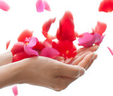 Sanitizing Mist, Rose Petal