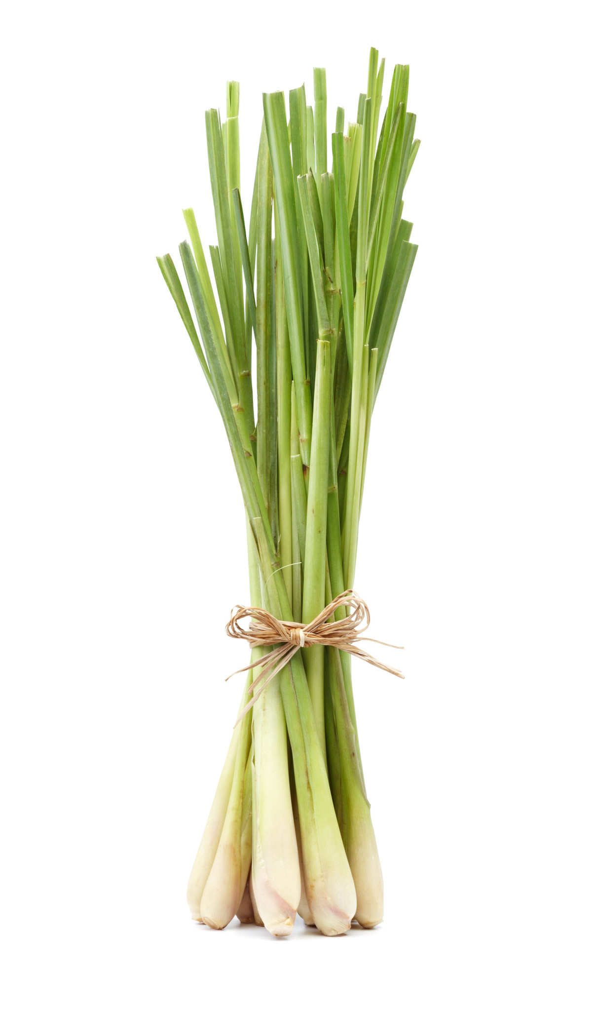 Lemon grass bio  PHYTOSUN arôms