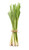 Lemongrass Essential Oil, Organic, Sri Lanka