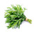 Tarragon Essential Oil, United States