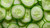 Cucumber Seed