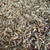 Agarwood Essential Oil, Farmed, Laos