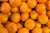 Mandarin, Red Essential Oil, Organic, Italy