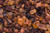 Frankincense and Myrrh Concentrate