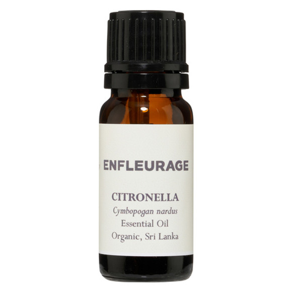 Citronella