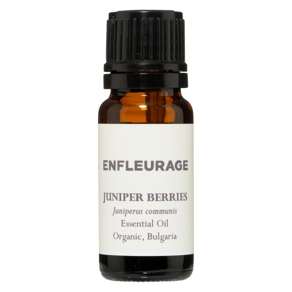 Juniper Berry