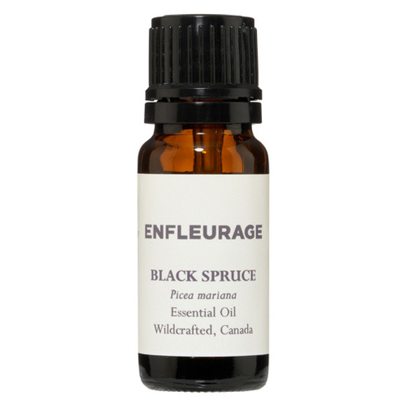 Enfleurage Black Spruce, Picea mariana, essential oil from Canada