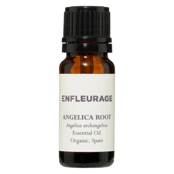 Angelica Root Essential Oil, Organic, Spain