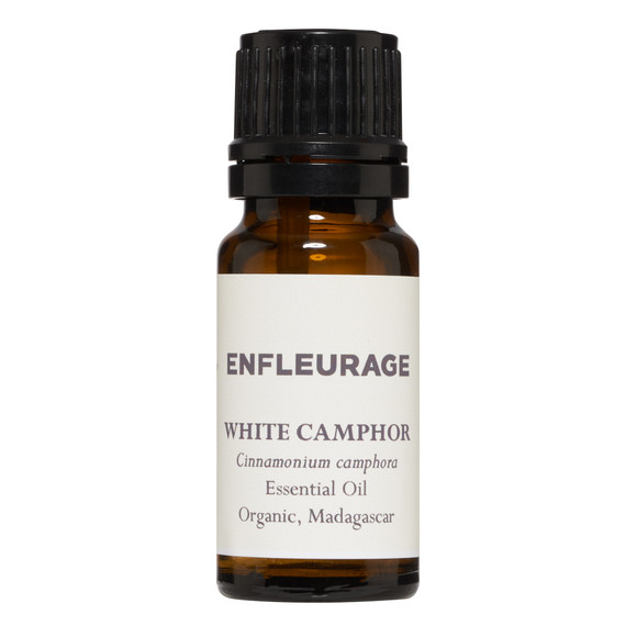 Enfleurage White Camphor Essential Oil