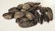 Enfleurage Tonka Beans for Absolute