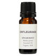 Enfleurage Spearmint, mentha spicata, organic essential oil from USA