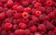 Red Raspberry Seed