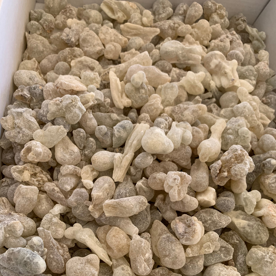 White Frankincense Resin from Southern Oman