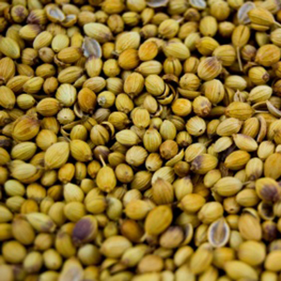 Coriander Seed