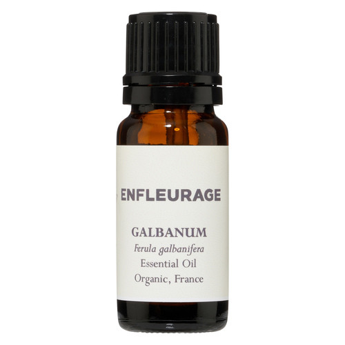 Galbanum Essential Oil
