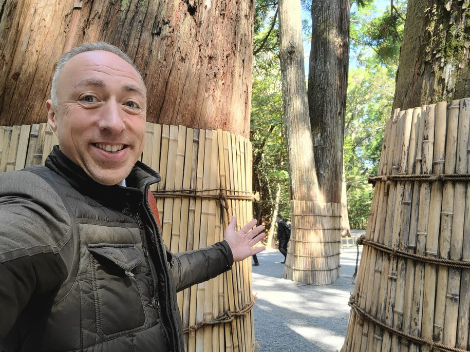 Sacred hinoki Trees protected at the Kyūiki-rin (宮域林)