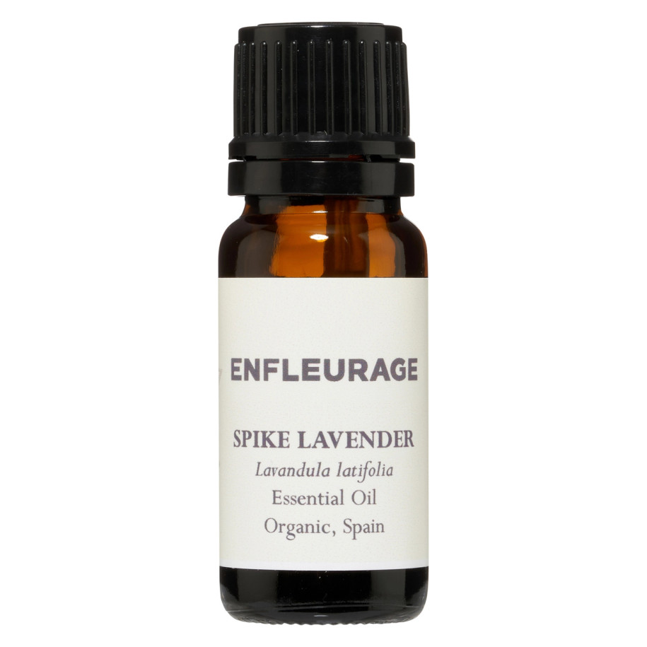 Spike Lavender,  Lavandula latifolia, essential oil from Enfleurage