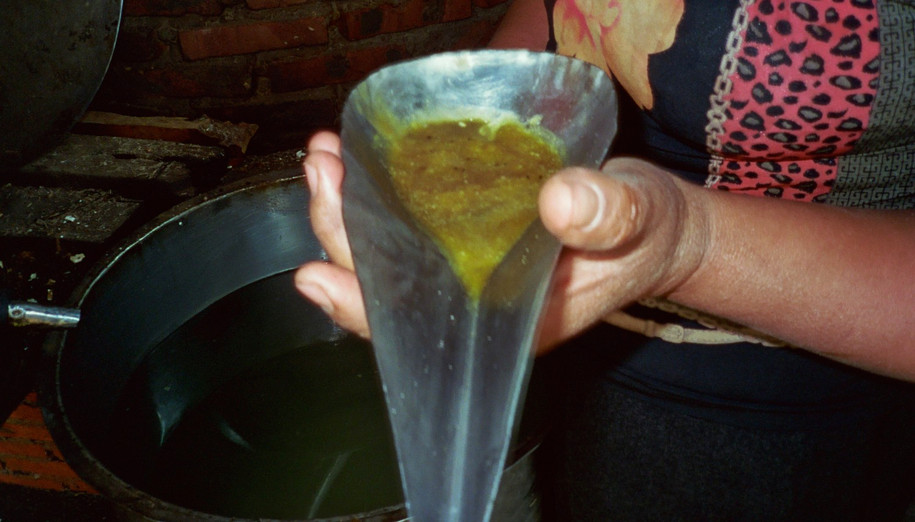 oil from too-youg trees in Laos