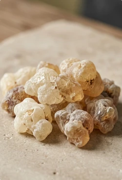 A Deep Connection to Frankincense