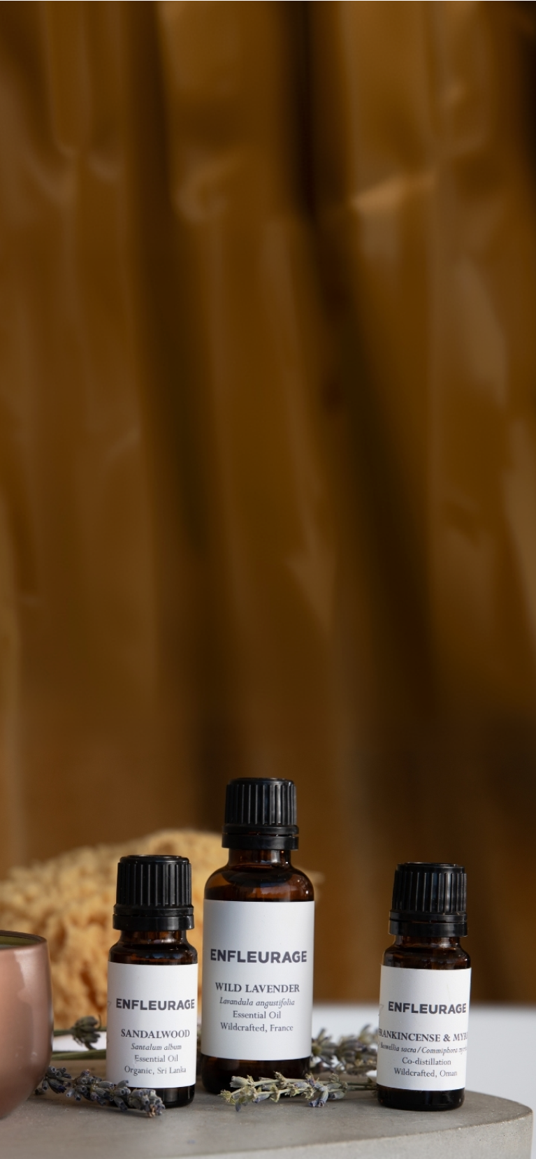 Frankincense from Source to Bottle