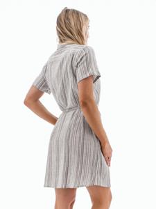 Lupin Dress  studio back