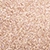Girls Rose Gold Shoe - Lalia