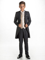 Boys grey & gold tail suit - William