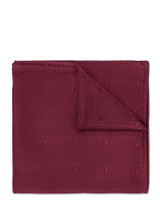 Boys burgundy self dot hanky