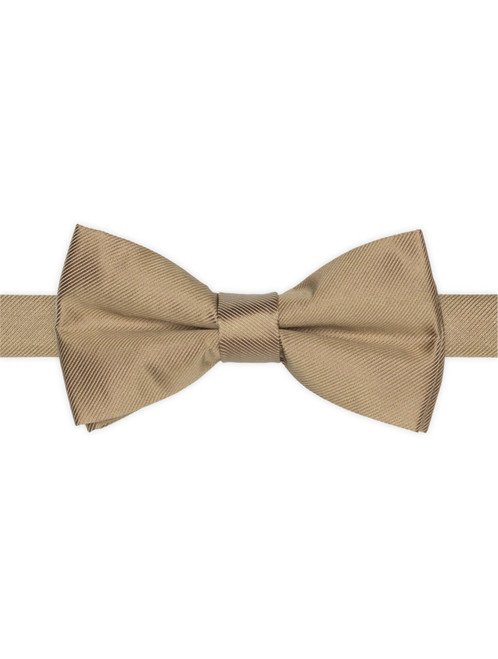 Paisley of London Bronze dickie bow