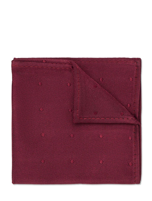 Boys burgundy self dot hanky