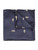 Boys navy banded bow tie and hanky set - Bug