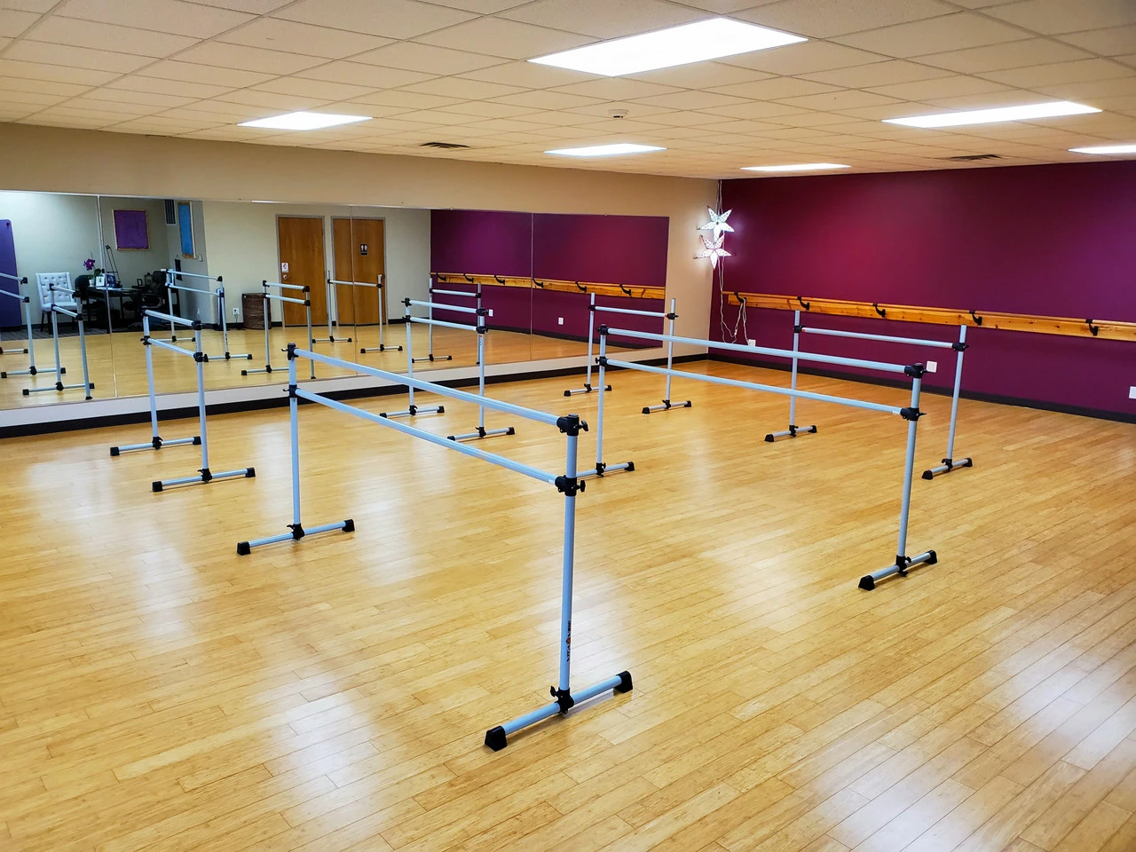 VITA Barre Portable Double Ballet Barre - Adjustable Height Freestanding Dance & Fitness Equipment For Home/Gym