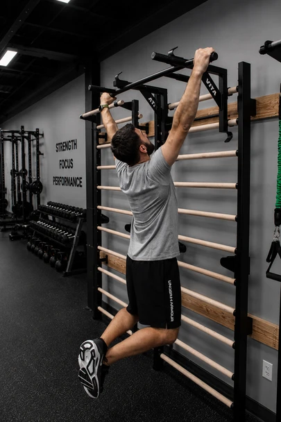 Ultimate Workout Bench w/Combo Pull-up Bar/Barbell Holder (Works w/VSB Stall Bar)