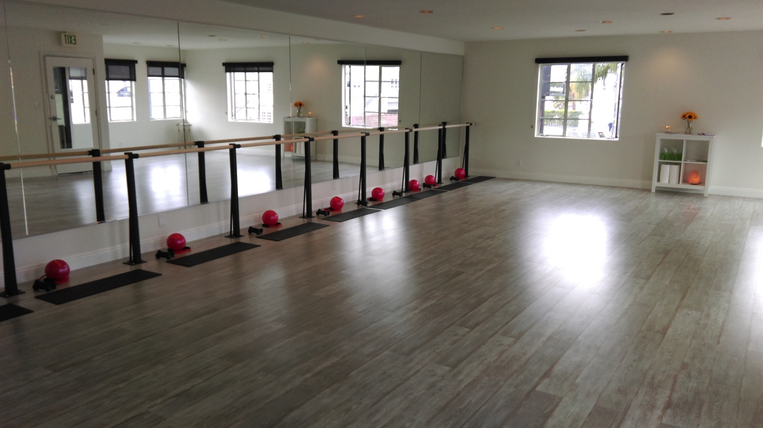 Floor Mounted Barres
