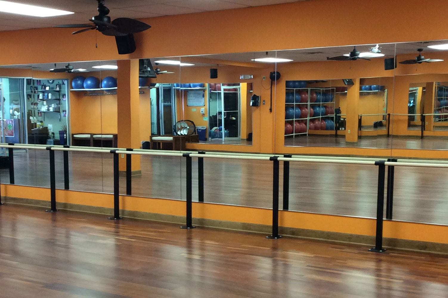 Floor Mounted Barres