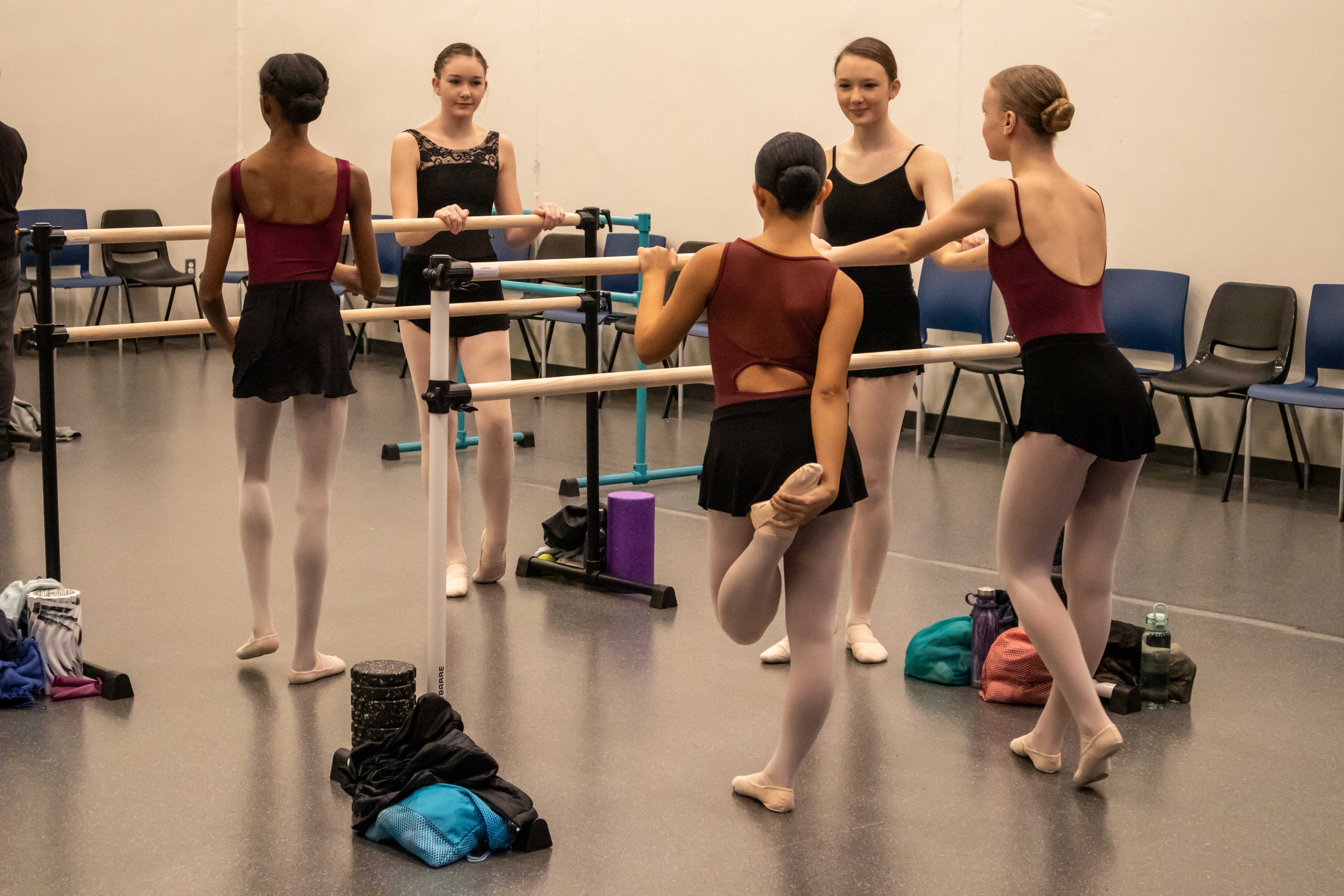 Portable Ballet Barres