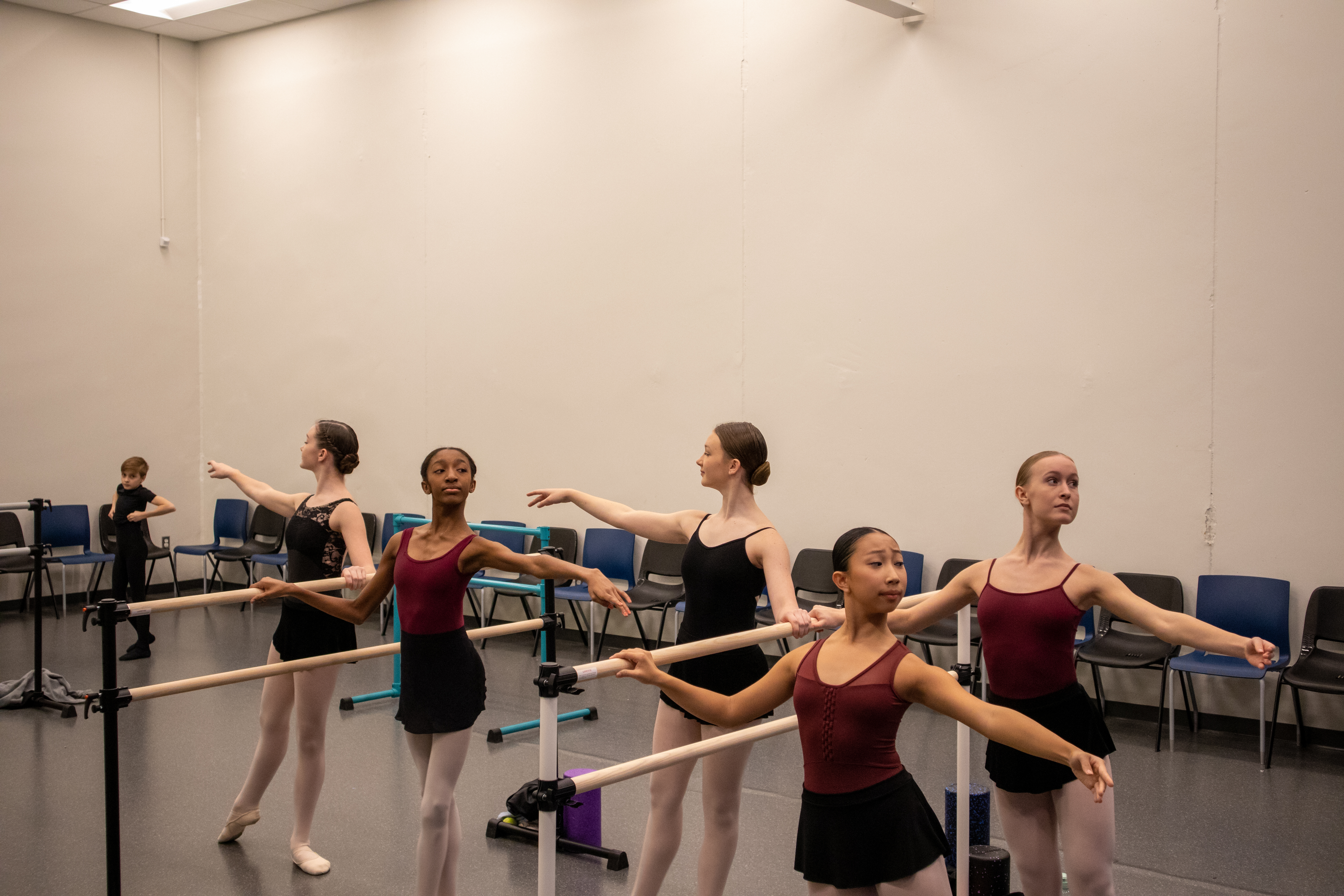 Portable Ballet Barres