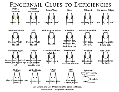 Free Pintable Chart for Finger Nail Clues to Nutritional Deficiencies